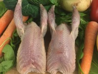 NEW-Partridge